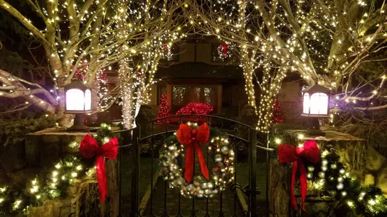 Christmas Decor