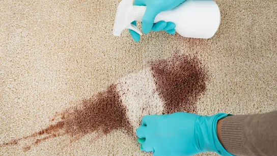 The Carpet Chemist