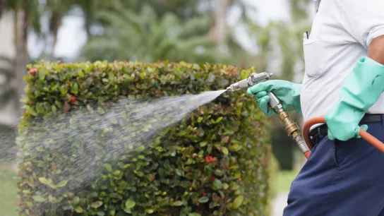 Lawn Care