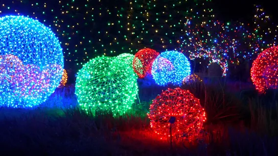 Christmas Decor