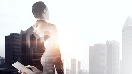 Intelligent Leadership Executive Coaching