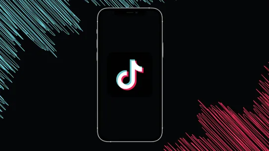 Should Your Franchise Be On TikTok?