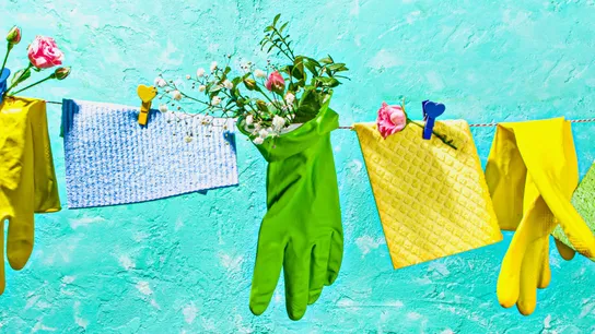 Best Spring Cleaning Franchises