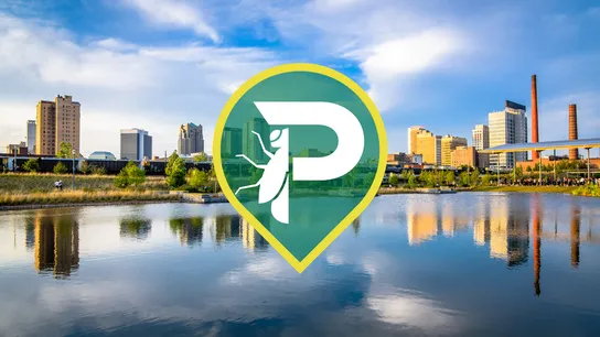 Why Pestmaster Sees Birmingham as the Perfect Market for Franchise Growth