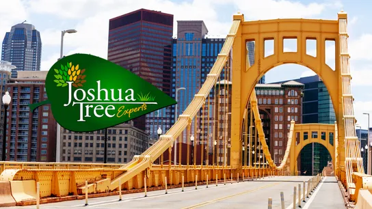 Why Joshua Tree Experts Sees Pittsburgh as the Perfect Place for Development 