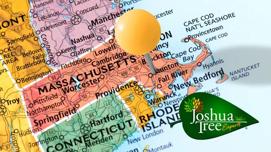 Why Joshua Tree Experts Is Targeting Massachusetts for Development
