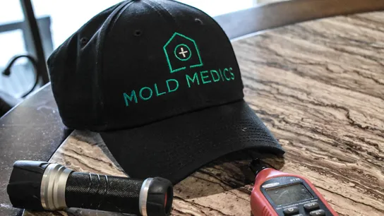 Mold Medics