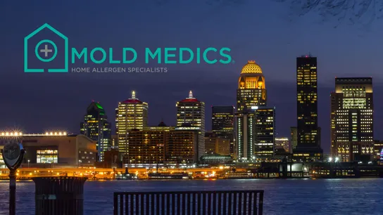 Mold Medics Targets Louisville, KY for Franchise Growth