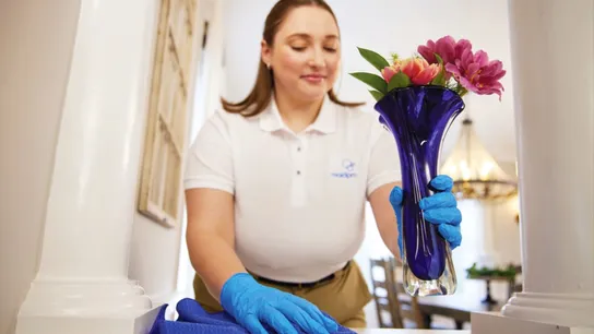 How MaidPro Capitalizes on Home Cleaning Industry Trends