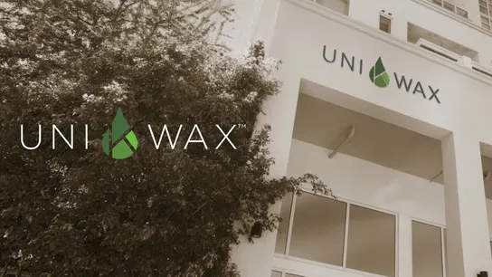 Franchise Deep Dive: Uni K Wax Costs, Fees, Profit and Data
