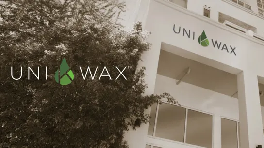 Franchise Deep Dive: Uni K Wax Costs, Fees, Profit and Data