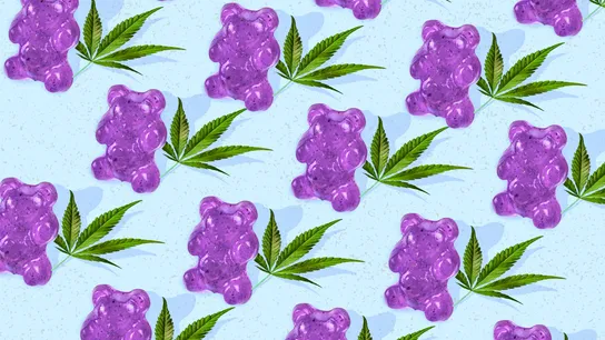 Can Cannabis Retailers Franchise?