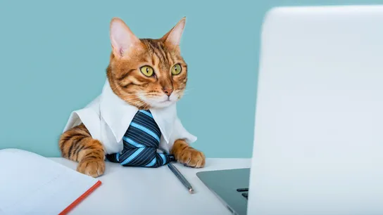 Opportunities and Trends in the Pet Franchise Market