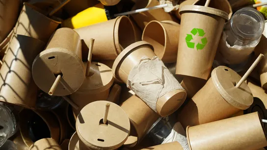 Global Plastic Pollution Treaty Talks Stall, but Franchises Can Still Act