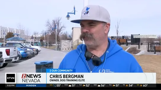 Dog Training Elite - Chris Bergman - Dog Training Tips - National Dog Training Education Month