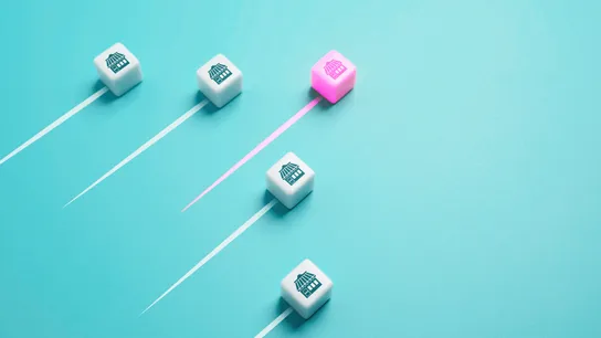 What Makes the Top Franchises of 2025 Stand Out in a Competitive Market? - 1851 Franchise
