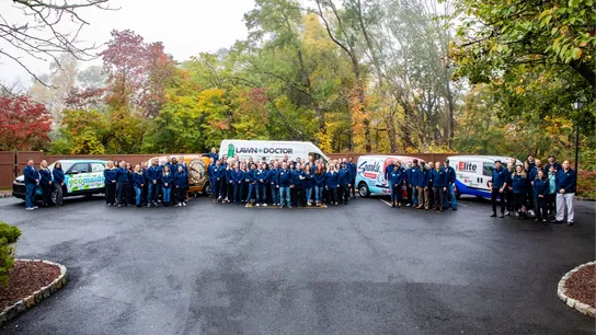 image  of Happinest franchise collection and all their brands that work together. 