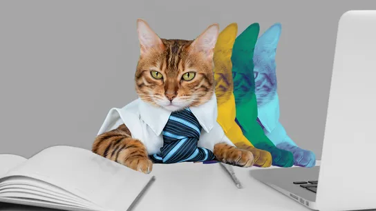 Design with cat wearing white shirt and blue tie, sitting at desk in front of a book and computer