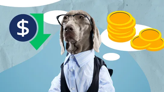 Design with graphic of gray dog wearing glasses and blue striped button down shirt