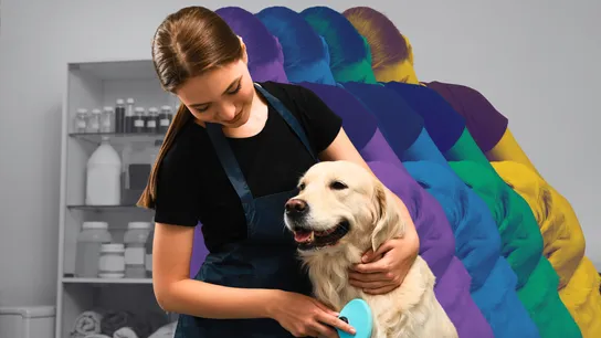 The Top 15 Pet Wellness and Vet Care Franchises for 2025