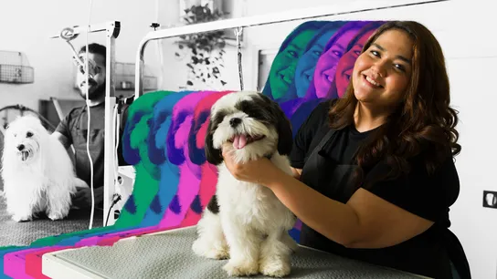 The Top 15 Boutique-Style Pet Franchises To Consider for 2025