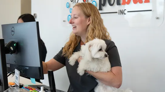 petbar franchise logo tenth 10th anniversary