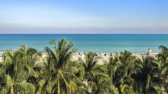 florida 