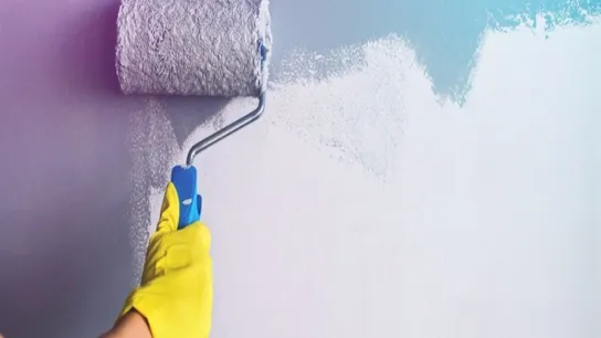 fresh coat franchising wall
