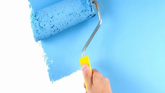 Fresh Coat