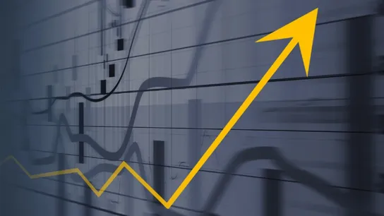franchise finance index