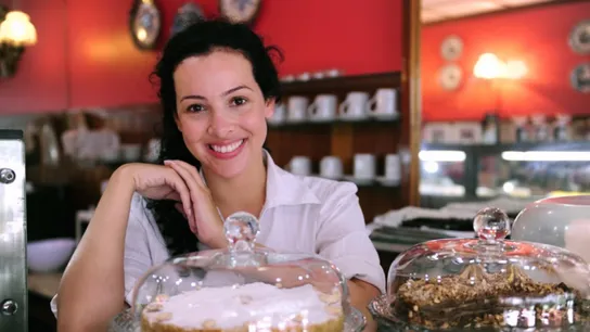 small business index and franchising