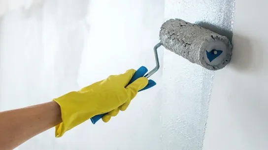Fresh Coat Painting Franchise