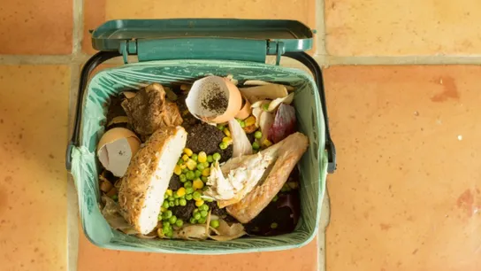 Food Waste