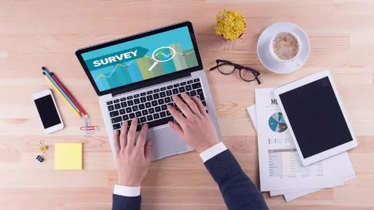surveys
