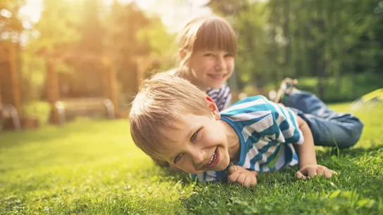 Lawn Doctor, Arkansas Franchise, Franchise Development