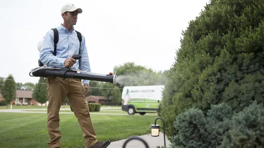 Lawn Doctor, Franchise Development