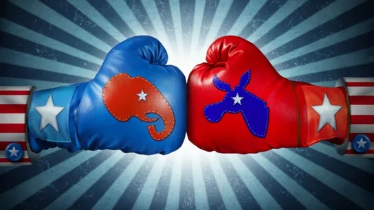 election and franchising