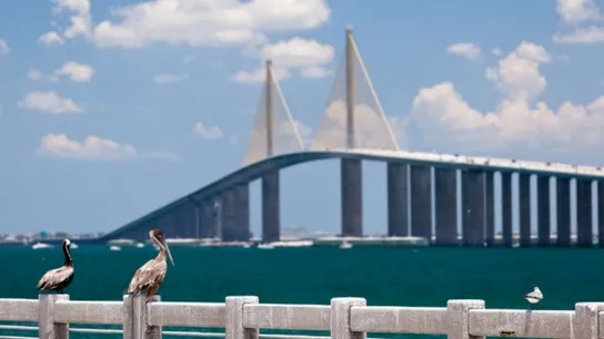 tampa bay
