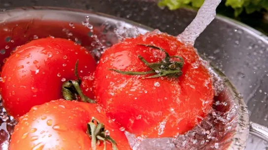 Tomato