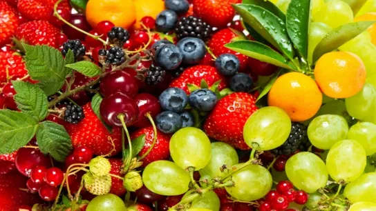 Fruit