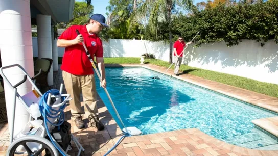 Pool Scouts