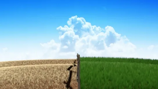 greener grass 