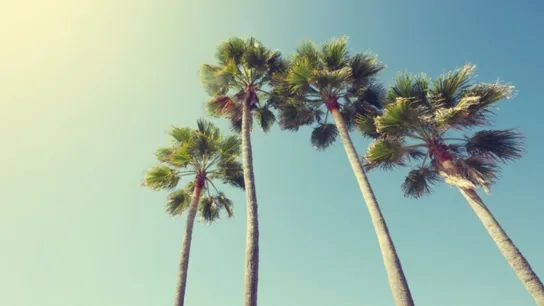 california