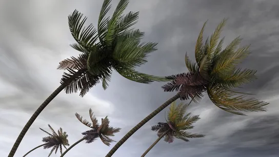Florida Hurricane