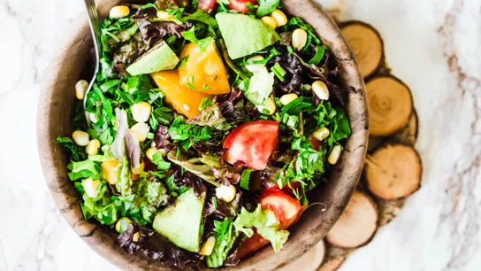 plant-based protein