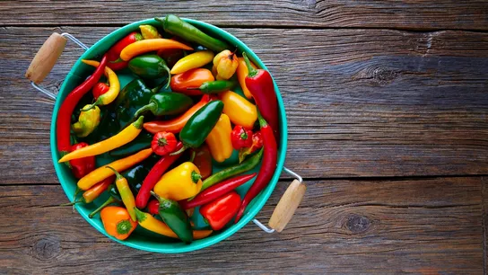 chile pepper
