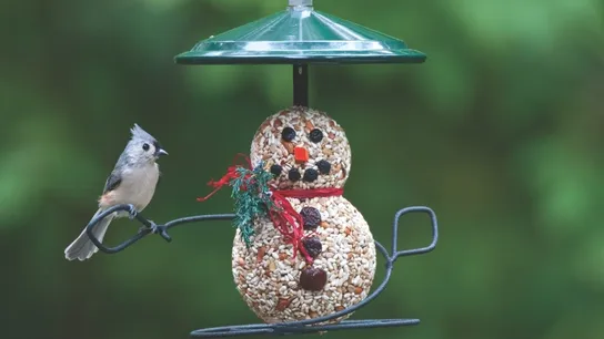 Wild Birds Unlimited