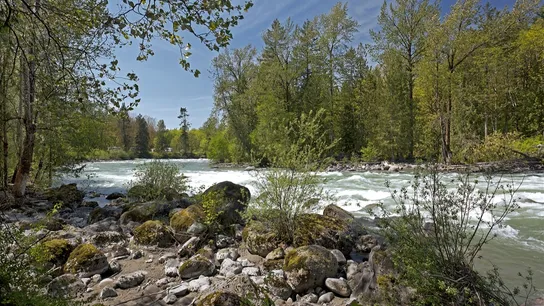 chilliwack, bc