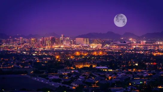 phoenix
