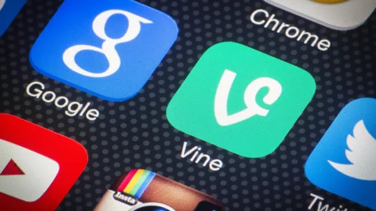 vine
